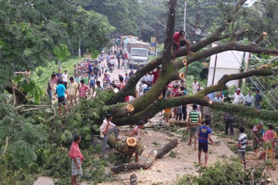 Fallen tree blocks Assam-Agartala road, disrupts normal life: No initiative from the officials  